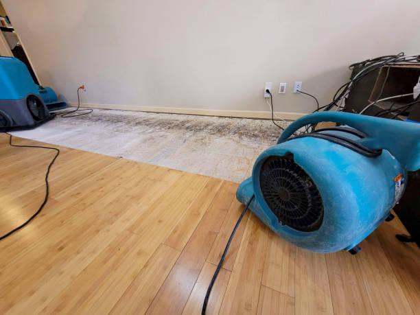 Professional Structural Drying technician working in Oakland, PA